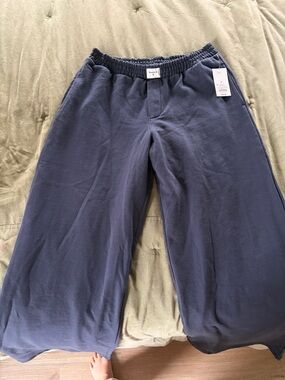 NWT Parke navy pants